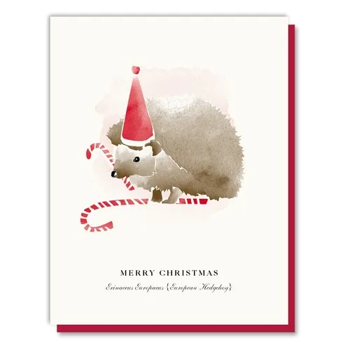 Candy Cane Hedgehog Card