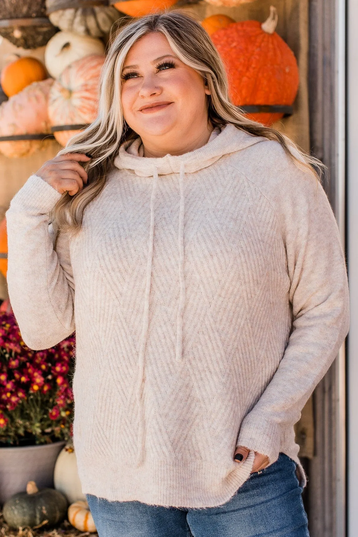 Make Today Great Hooded Sweater- Oatmeal