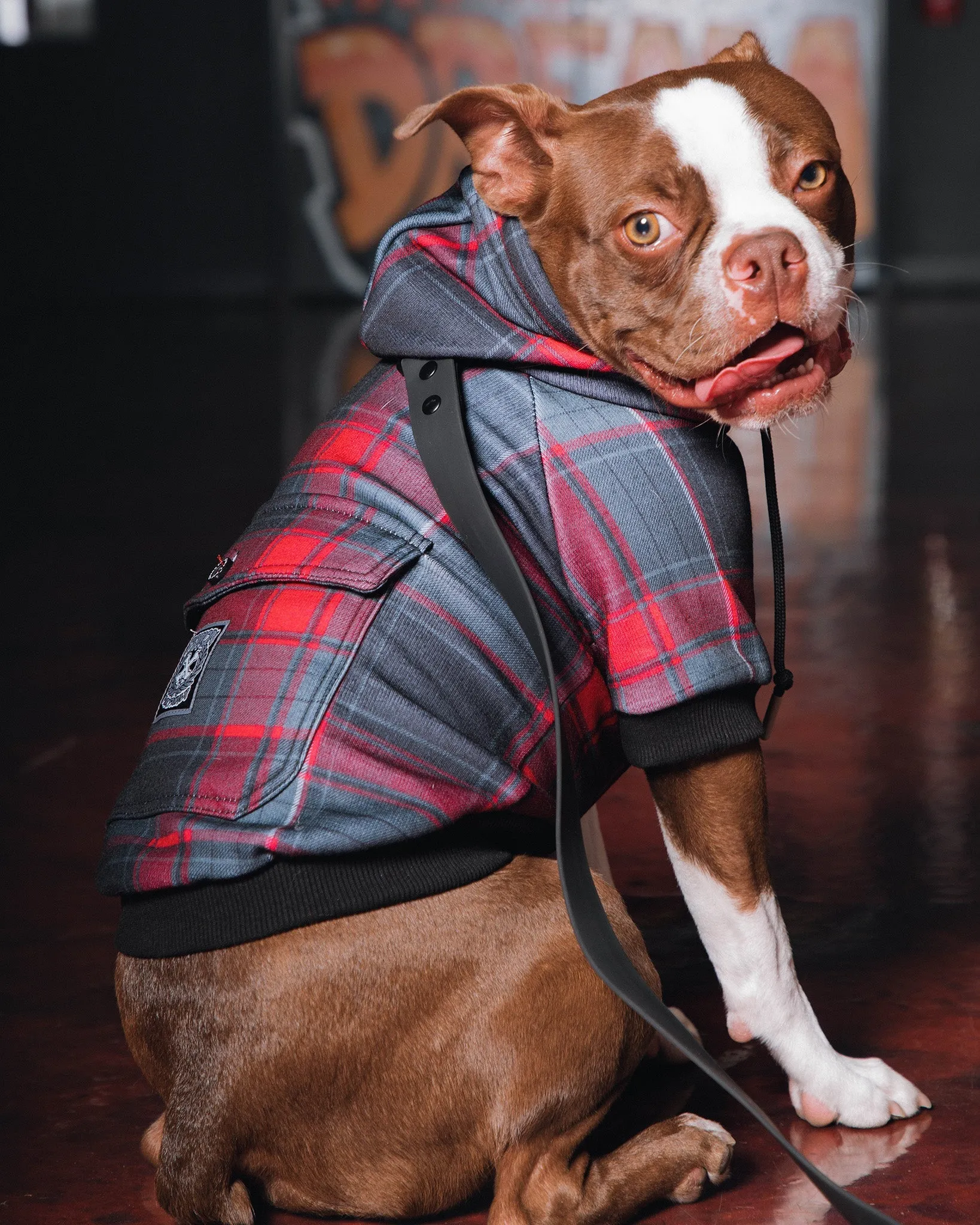 Royal Flush Flannel Dog Print Hoodie