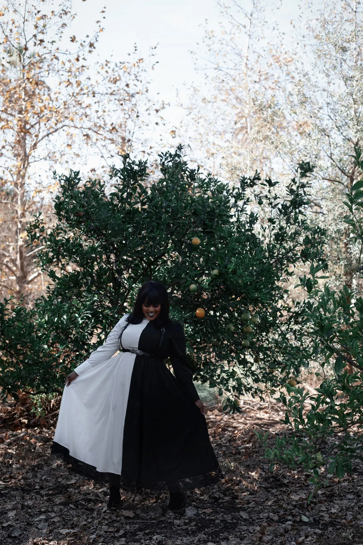 Sisters of the Moon Dress